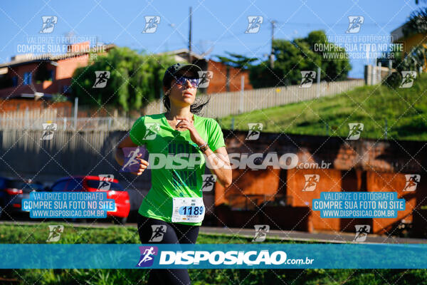 Vale Verde Run 2024