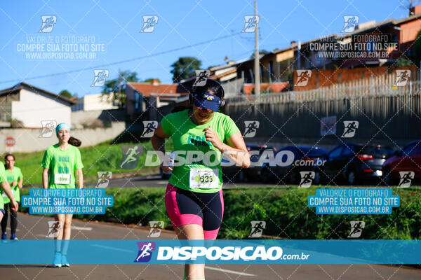 Vale Verde Run 2024