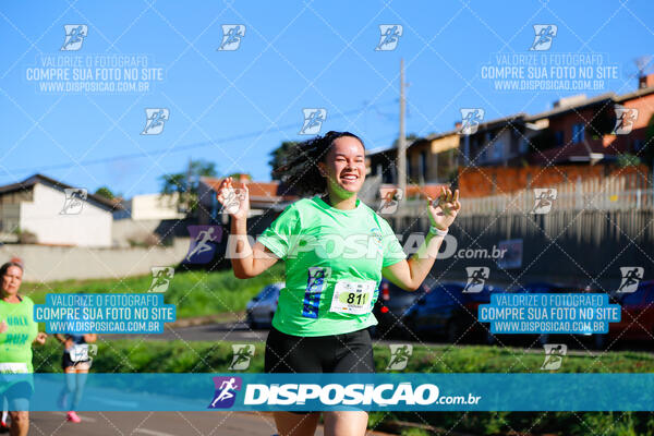 Vale Verde Run 2024