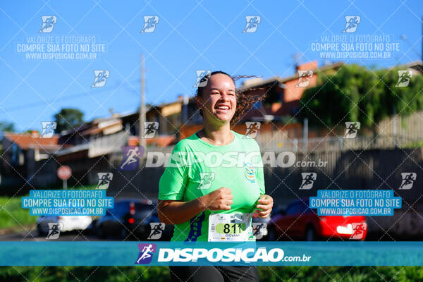 Vale Verde Run 2024