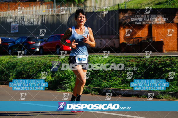 Vale Verde Run 2024