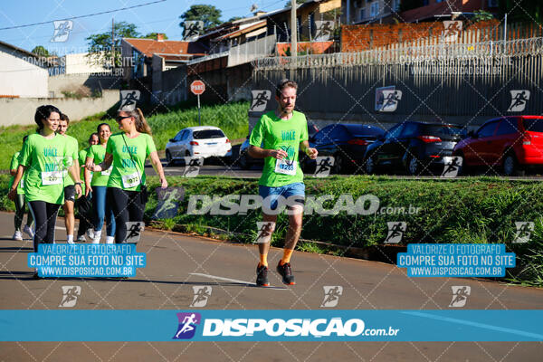 Vale Verde Run 2024