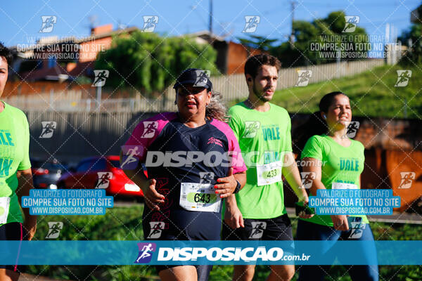 Vale Verde Run 2024