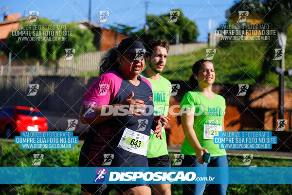 Vale Verde Run 2024