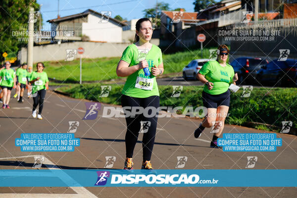 Vale Verde Run 2024