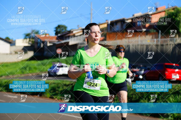 Vale Verde Run 2024