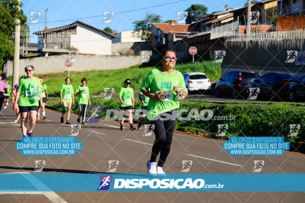 Vale Verde Run 2024