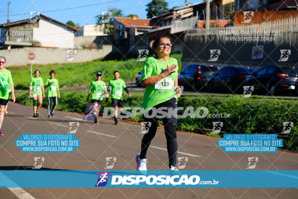 Vale Verde Run 2024