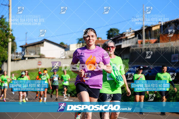 Vale Verde Run 2024