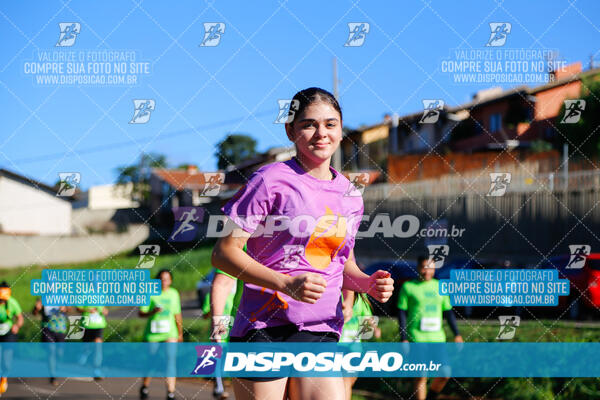 Vale Verde Run 2024