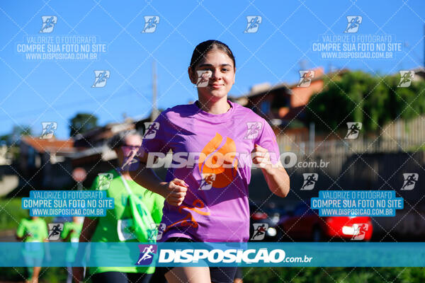 Vale Verde Run 2024