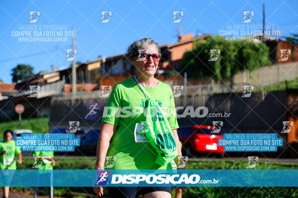 Vale Verde Run 2024