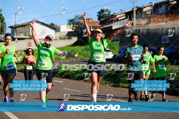 Vale Verde Run 2024