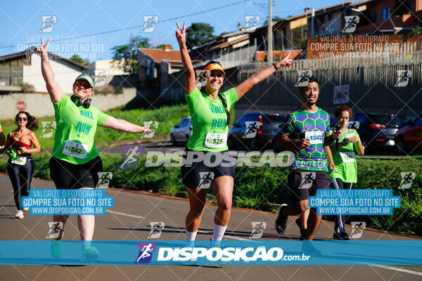 Vale Verde Run 2024