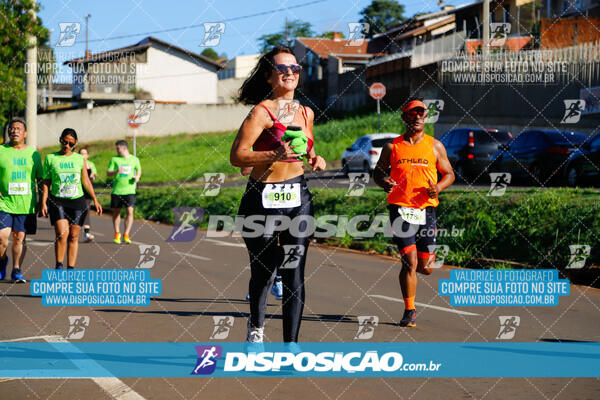 Vale Verde Run 2024