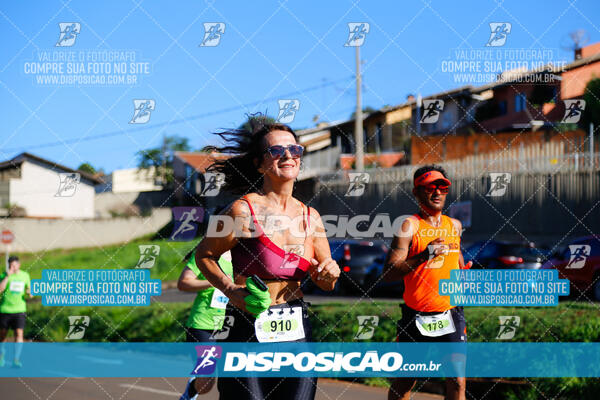 Vale Verde Run 2024