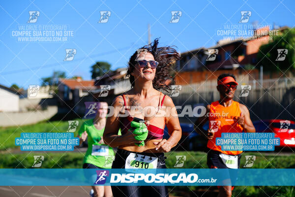 Vale Verde Run 2024