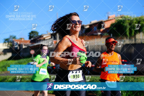 Vale Verde Run 2024