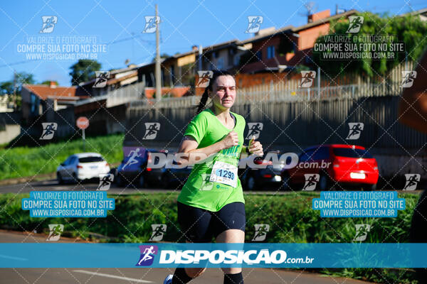 Vale Verde Run 2024