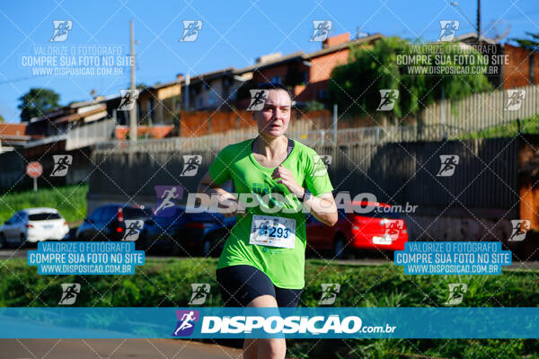 Vale Verde Run 2024