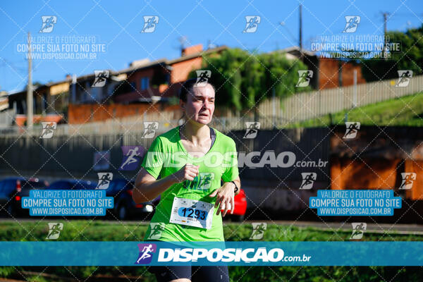 Vale Verde Run 2024