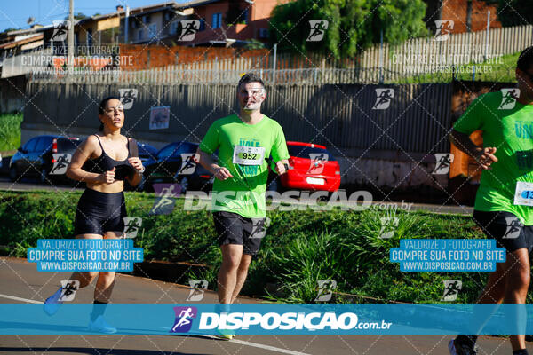 Vale Verde Run 2024