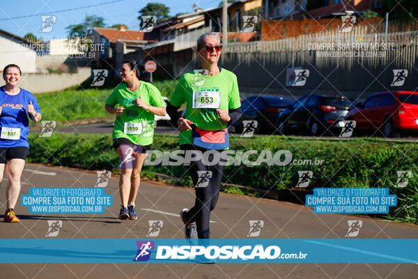 Vale Verde Run 2024