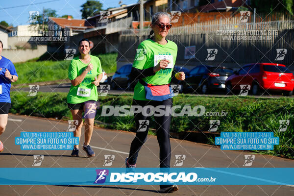 Vale Verde Run 2024