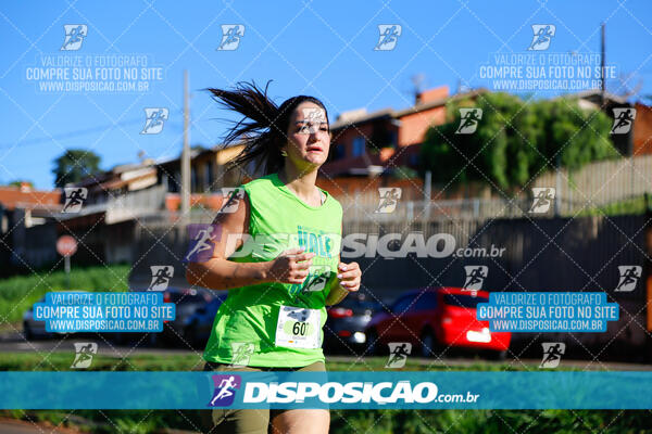 Vale Verde Run 2024