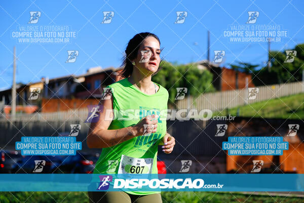 Vale Verde Run 2024