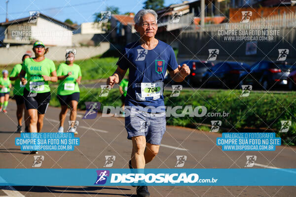 Vale Verde Run 2024