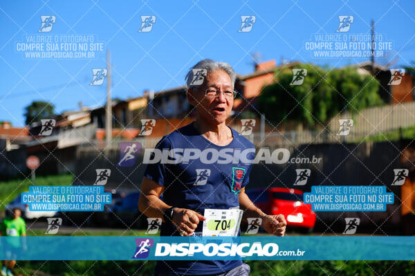 Vale Verde Run 2024