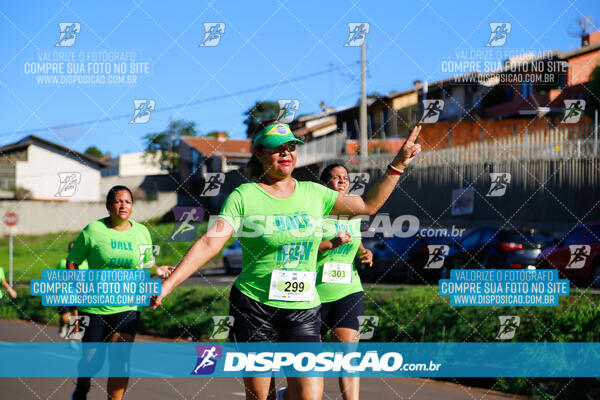 Vale Verde Run 2024