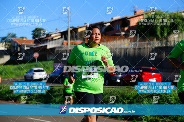 Vale Verde Run 2024