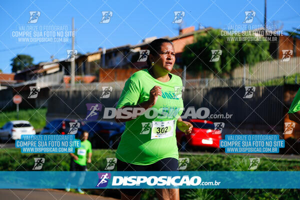 Vale Verde Run 2024