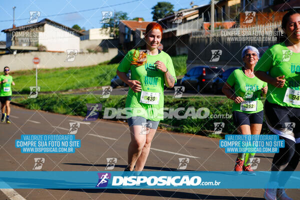 Vale Verde Run 2024