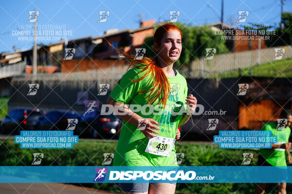 Vale Verde Run 2024