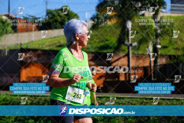 Vale Verde Run 2024