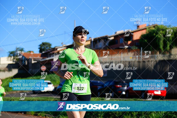 Vale Verde Run 2024