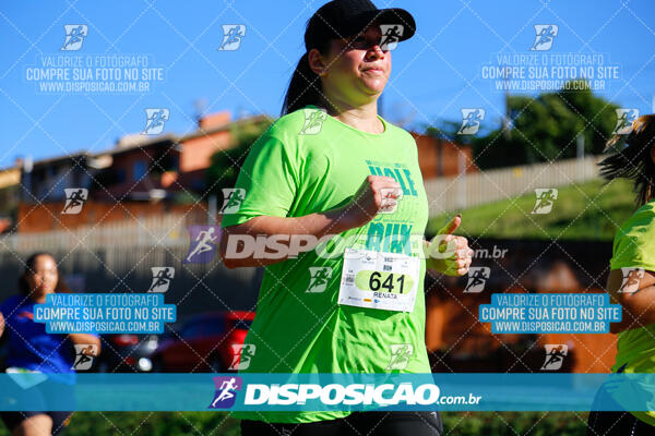 Vale Verde Run 2024