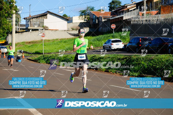 Vale Verde Run 2024