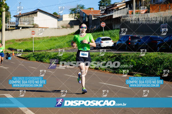 Vale Verde Run 2024