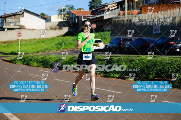 Vale Verde Run 2024