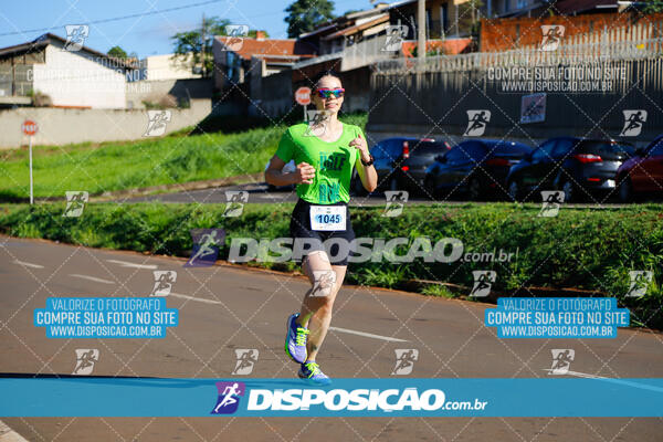 Vale Verde Run 2024