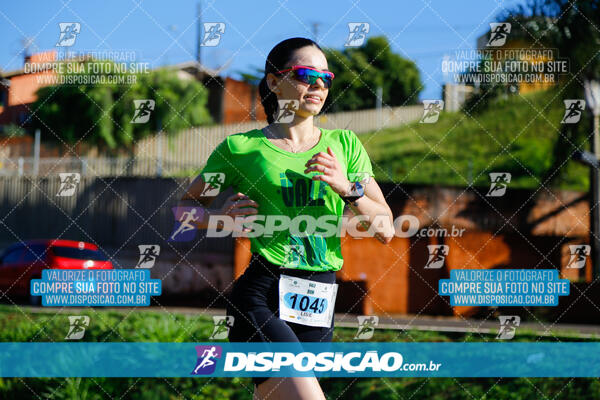 Vale Verde Run 2024