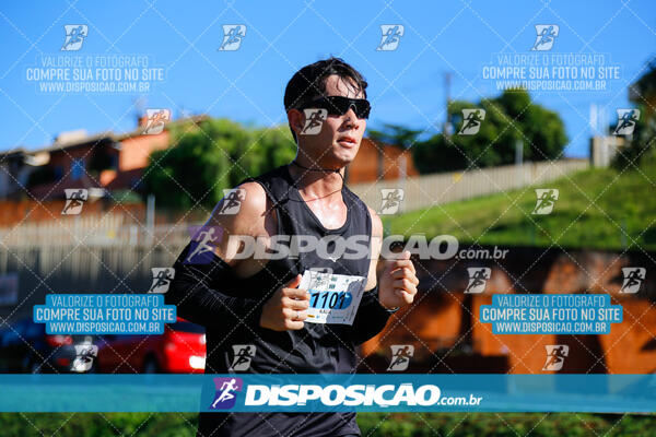 Vale Verde Run 2024