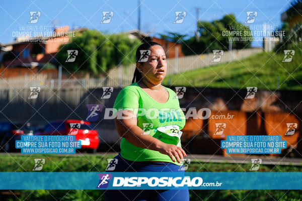 Vale Verde Run 2024