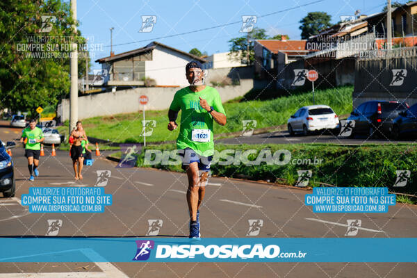 Vale Verde Run 2024