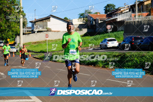 Vale Verde Run 2024