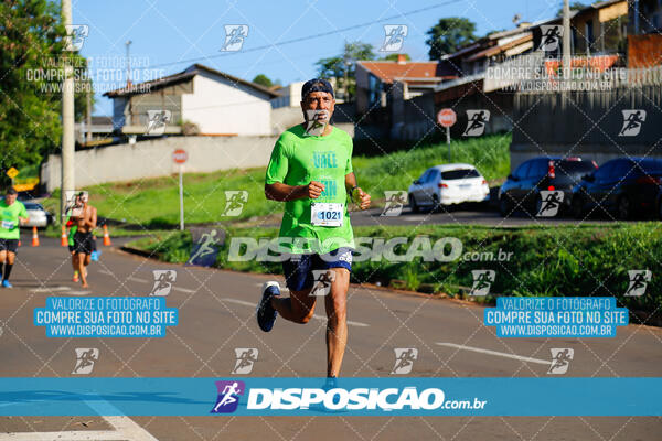 Vale Verde Run 2024